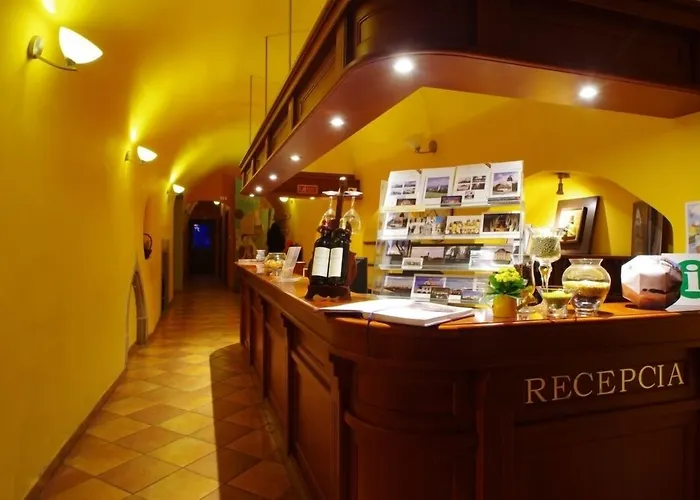 Hotel U Leva