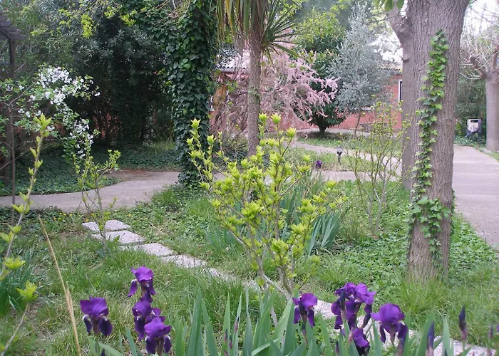 Hotel La Chaumiere D Agde
