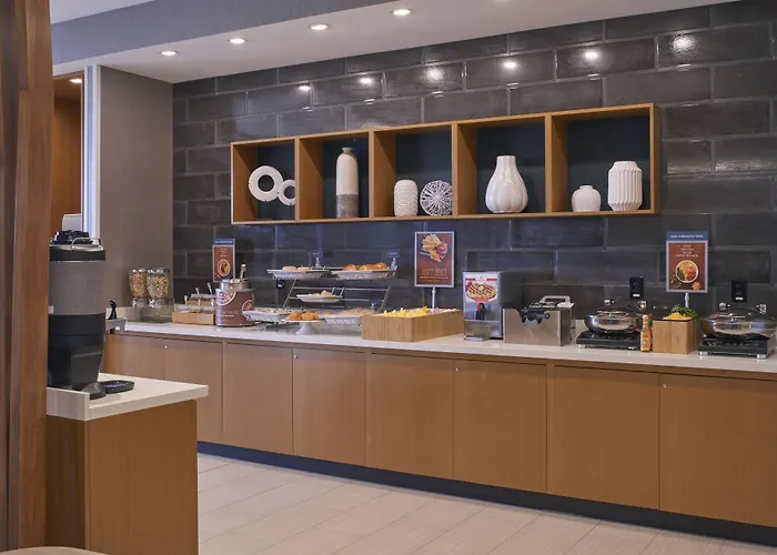 Springhill Suites By Marriott East Lansing University Area, Lansing Area