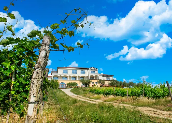 Wine Residence Cattunar