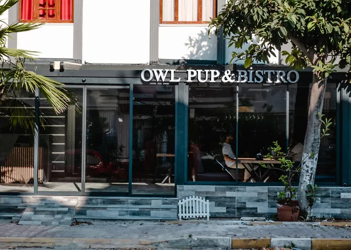 Orange Owl Hotel