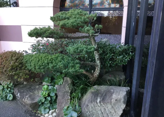 Hotel Saiyou Wakigawa