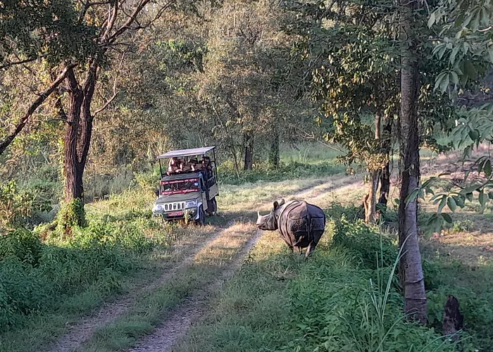 Crocodile Safari Camp