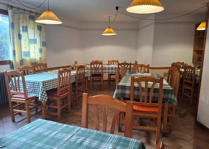 Mitja Pensió Hostal Pastuira Vallter 10