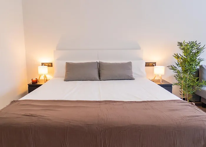 Rental Room Paseo Zorrilla 100 Coliving
