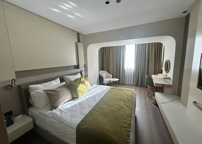 Buyuk Saruhan Hotel