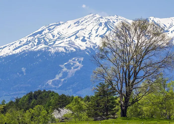 Hotel Kisoonsen Kogane No Yu