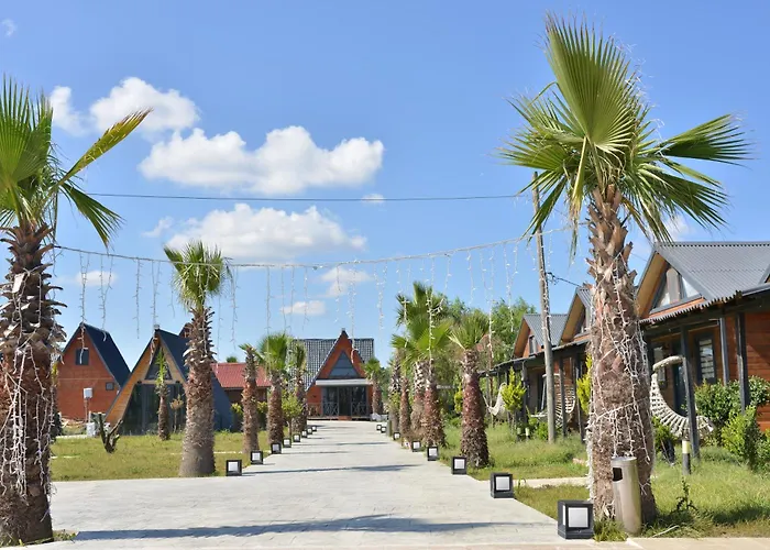 Palm Garden
