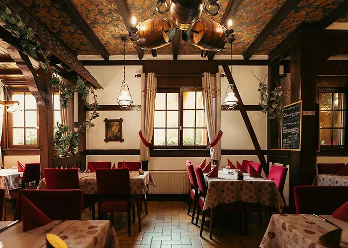Hotel Restaurant Au Parc Des Cigognes