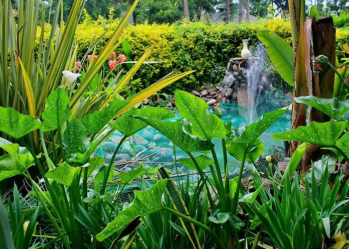 Tranquil Homestays