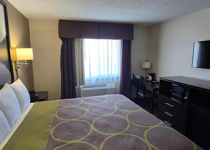 Super 8 By Wyndham Rogers Minnesota