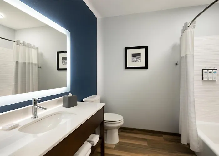 Hyatt Select St Louis Airport Hotel Woodson Terrace