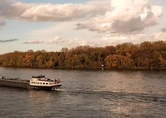 Hotel am Rhein