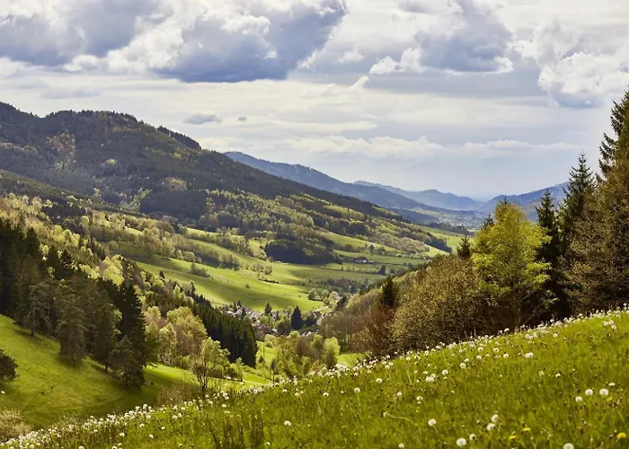 ElzLand Hotel Pfauen WELLNESS, SPA&VITALIS HOTEL