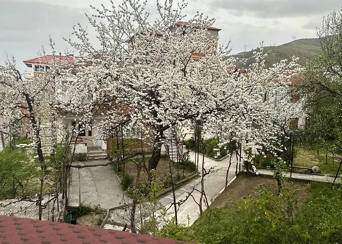 Hotel Yjet