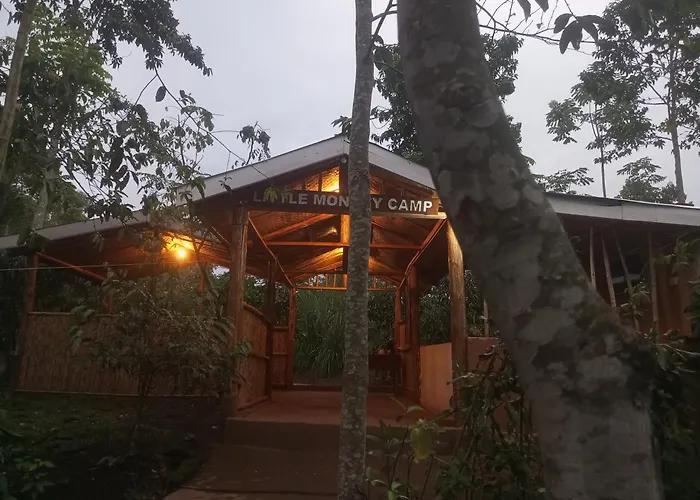Little Monkey Camp