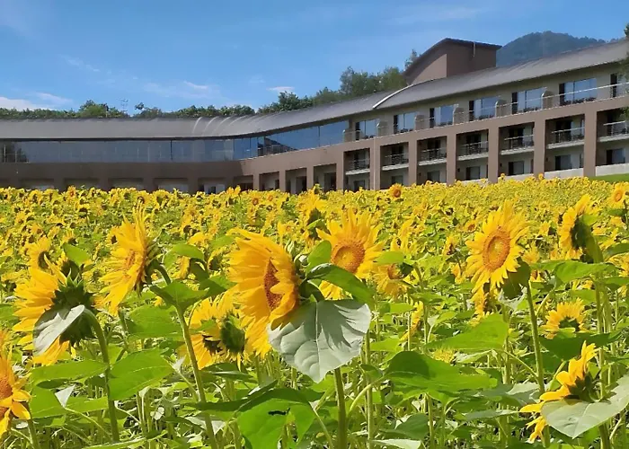 Furano Hotel 富良野ホテル