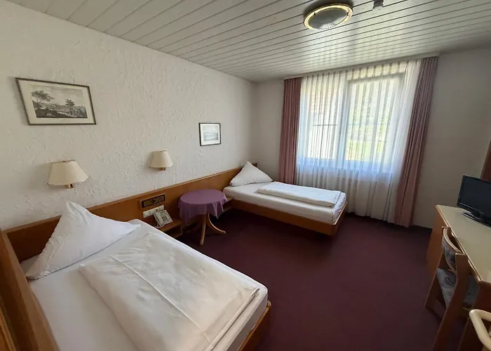 Hotel am Neckar