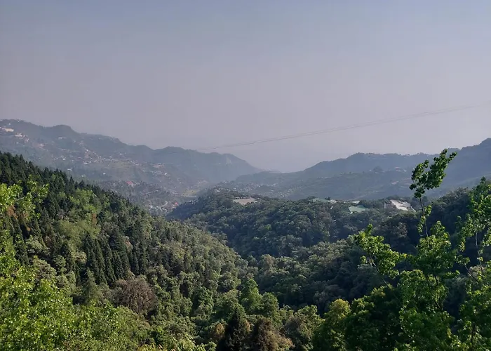 The Blues Hotel Forest View Near Mall Road Mussorrie