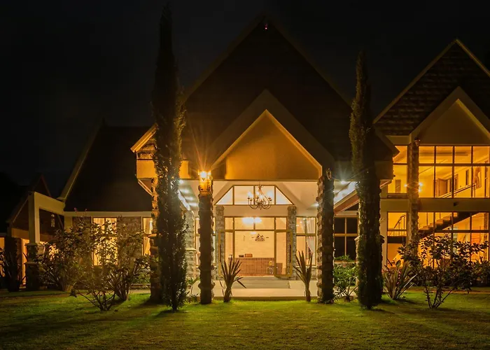 Woodsy Resort