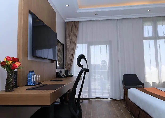 Alba Hotel Meru