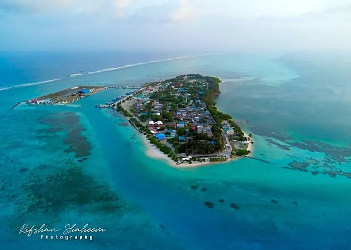 Maldivine Stay Dhiffushi