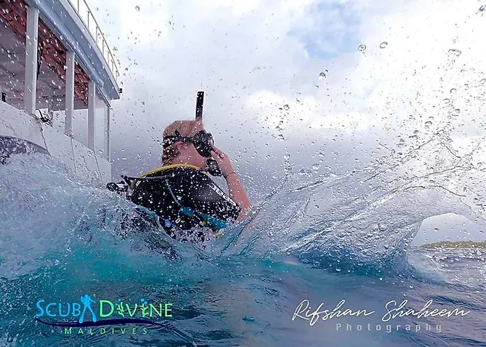 Maldivine Stay Dhiffushi