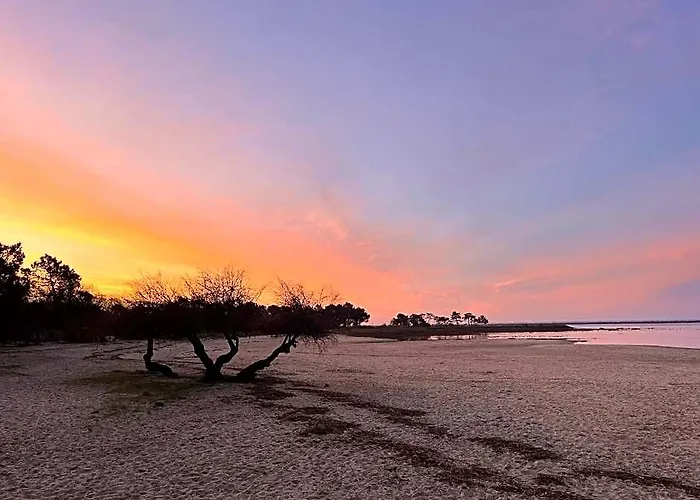La Cabanareve