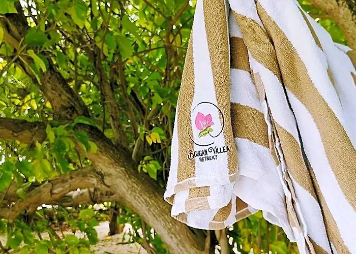 Bougan Villea Retreat