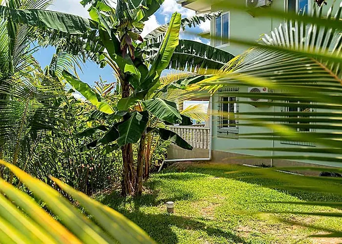 Top View Retreat Selfcatering