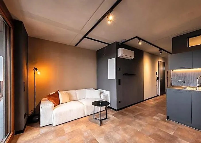 New Industrial-Style Apartments