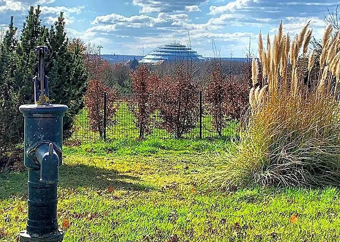 Panorama Sur Le Zoo De Beauval