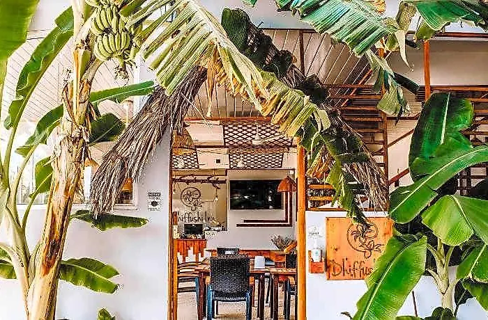 Dhiffushi Inn