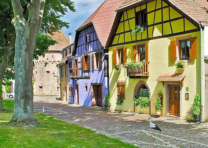 La Maison Jaune