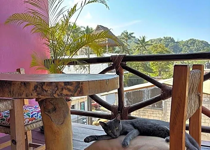 Hotel Artesanal Palomera