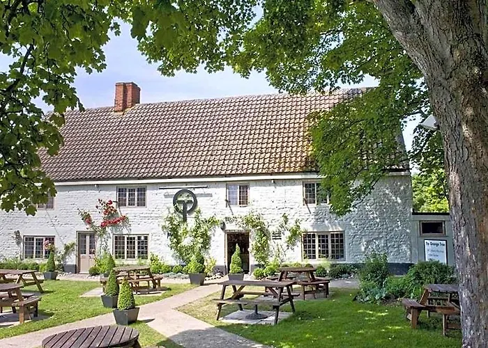 The Orange Tree