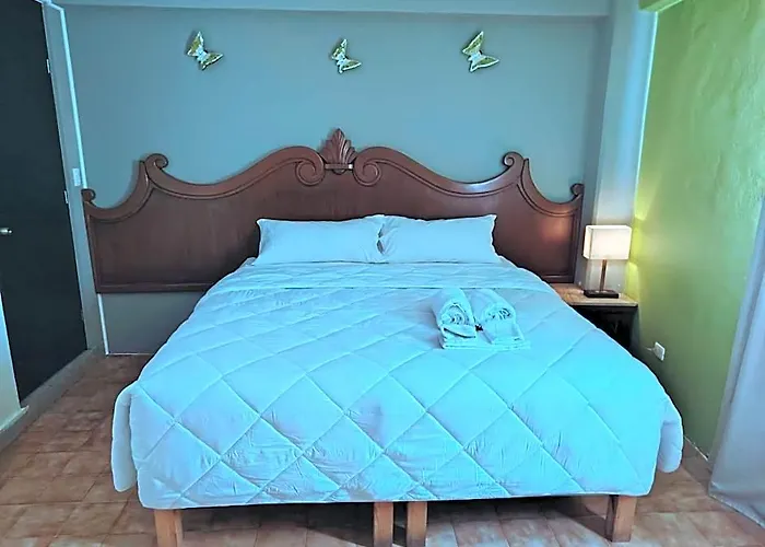 Cabo Tortuga Hotel Boutique