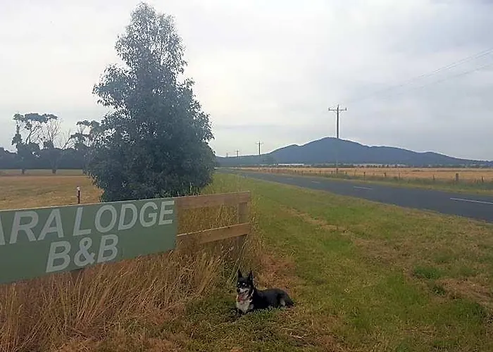 Lara Lodge