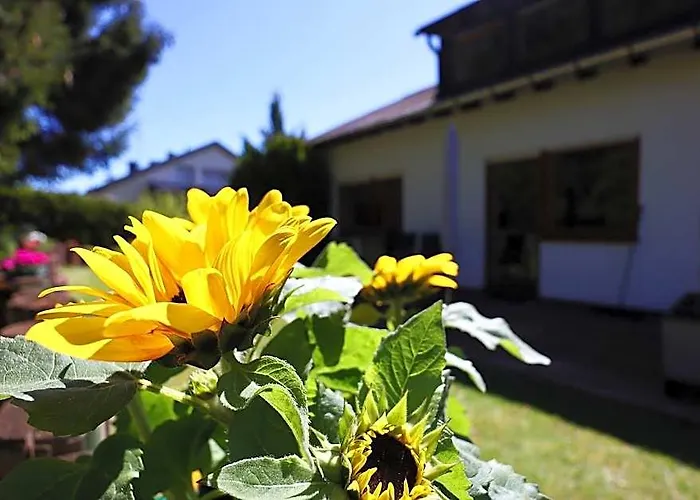 Carpediem Apartments