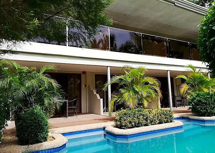 Alona Golden Palm