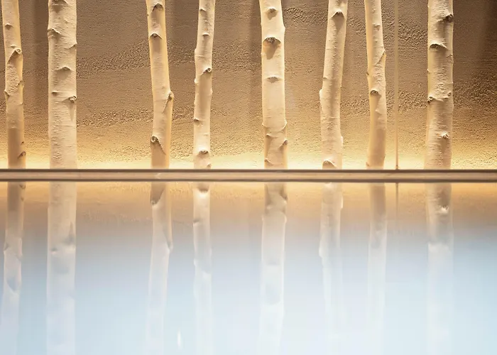 Tabino Hotel Lit Matsumoto Milky White Onsen