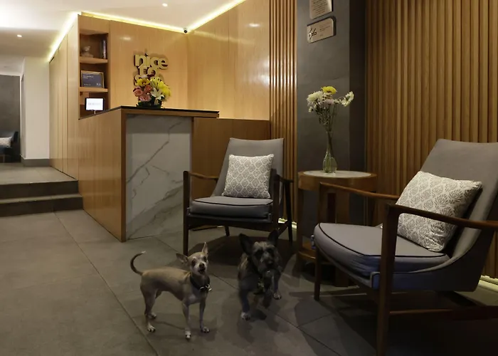 Reforma Guest House