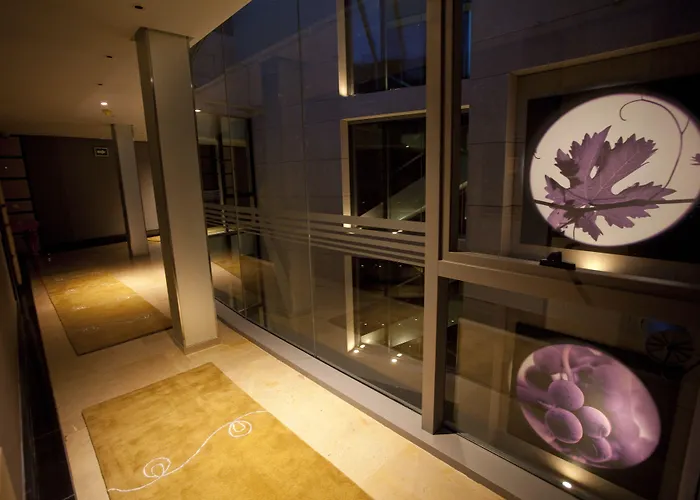 Nexus Valladolid Suites&Hotel