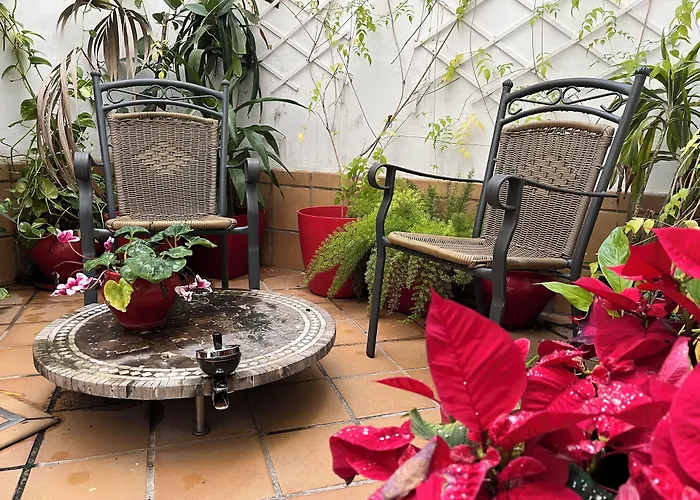 Un Patio Al Sur