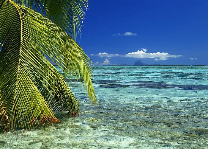 Vahine Island Resort And Spa