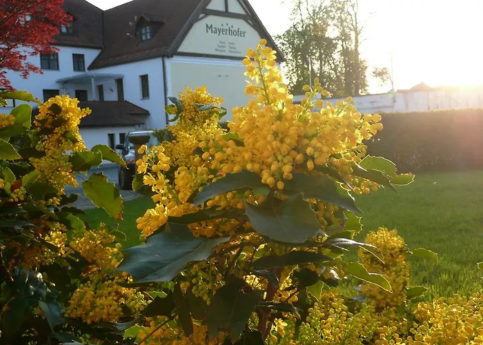 Hotel-Restaurant Mayerhofer