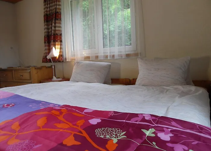 Hotel Alpina