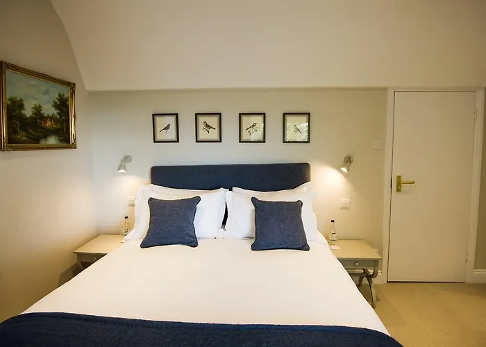 Cowdray Lodge B&B Rooms