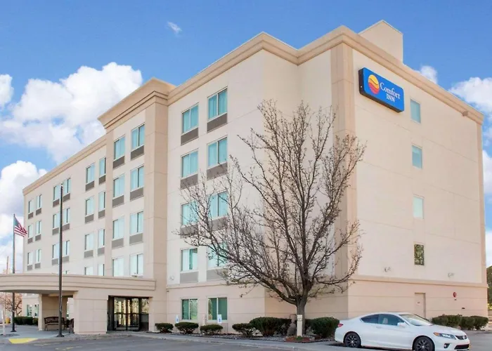 Hammock Hotel Rochester Niagara Falls