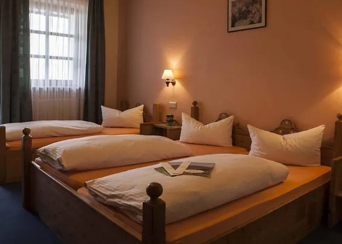 Hotel Restaurant Goger